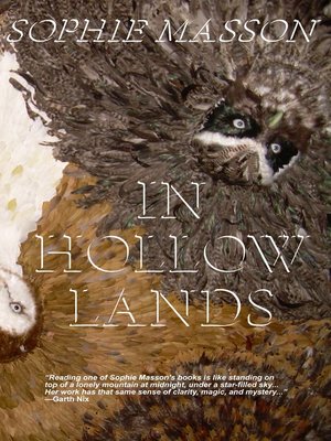 cover image of In Hollow Lands